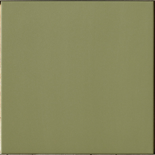 Salavia Evolution 10x10cm, green matt tile at Irwin Tiles