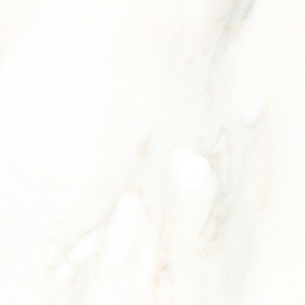 San Carlo Gold -Satin- 60x60cm, porcelain tile at Irwin Tiles