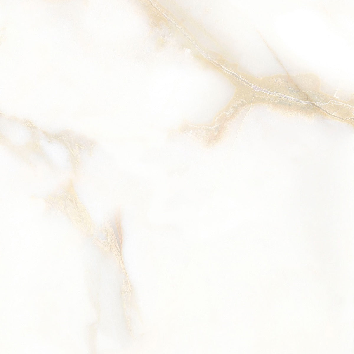 San Carlo Gold -Satin- 60x60cm, semi-gloss porcelain tile for kitchens, bathrooms and hallways at Irwin Tiles
