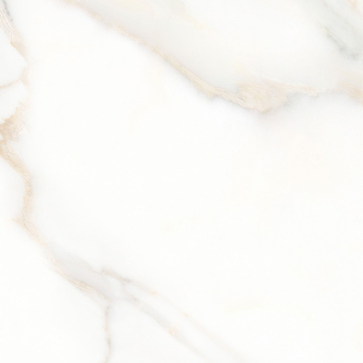 San Carlo Gold -Satin- 60x60cm, tile at Irwin Tiles