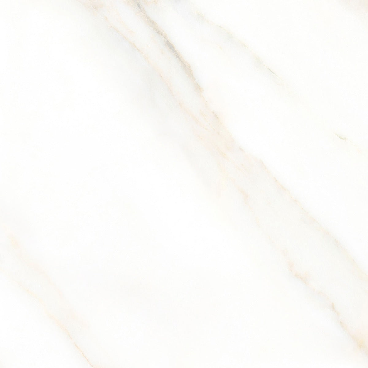 San Carlo Gold -Satin- 60x60cm tile, semi-gloss, at Irwin Tiles
