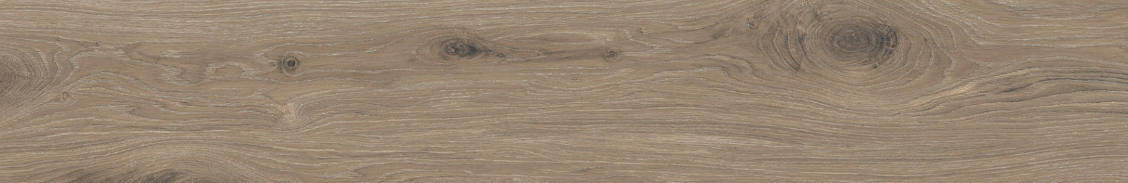Timeless Greige 24 x 150cm, porcelain tile for bathroom and other wet floors at Irwin Tiles