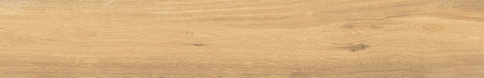 Timeless Honey 24 x 150cm tile, matt, at Irwin Tiles