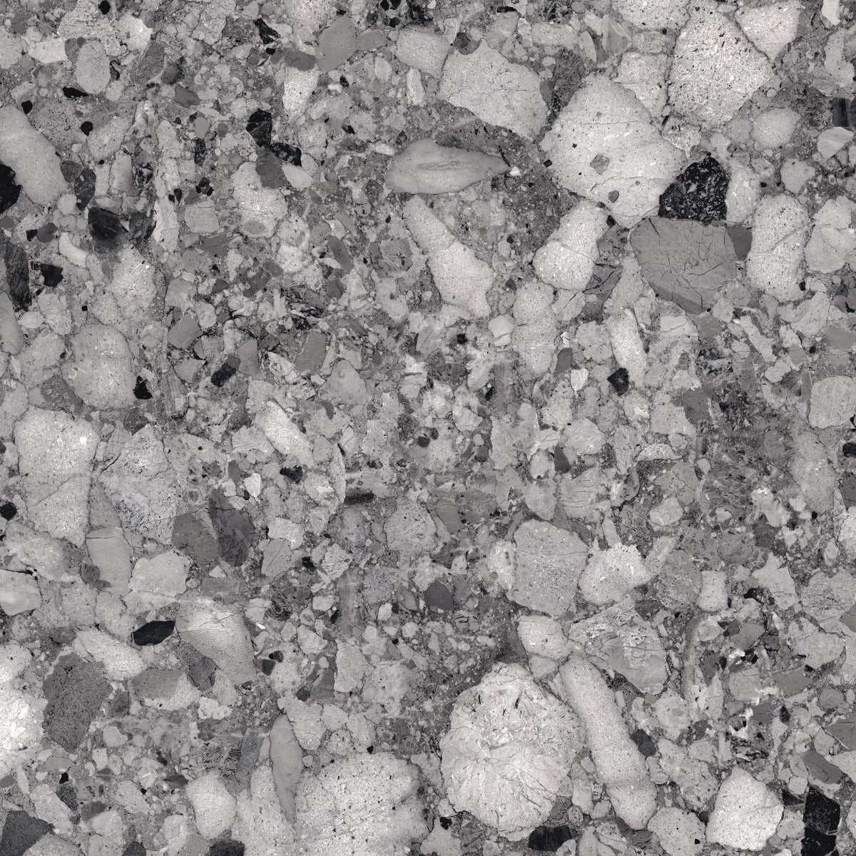 Venistone Dark Glossy 89 x 89cm, terrazzo tile at Irwin Tiles