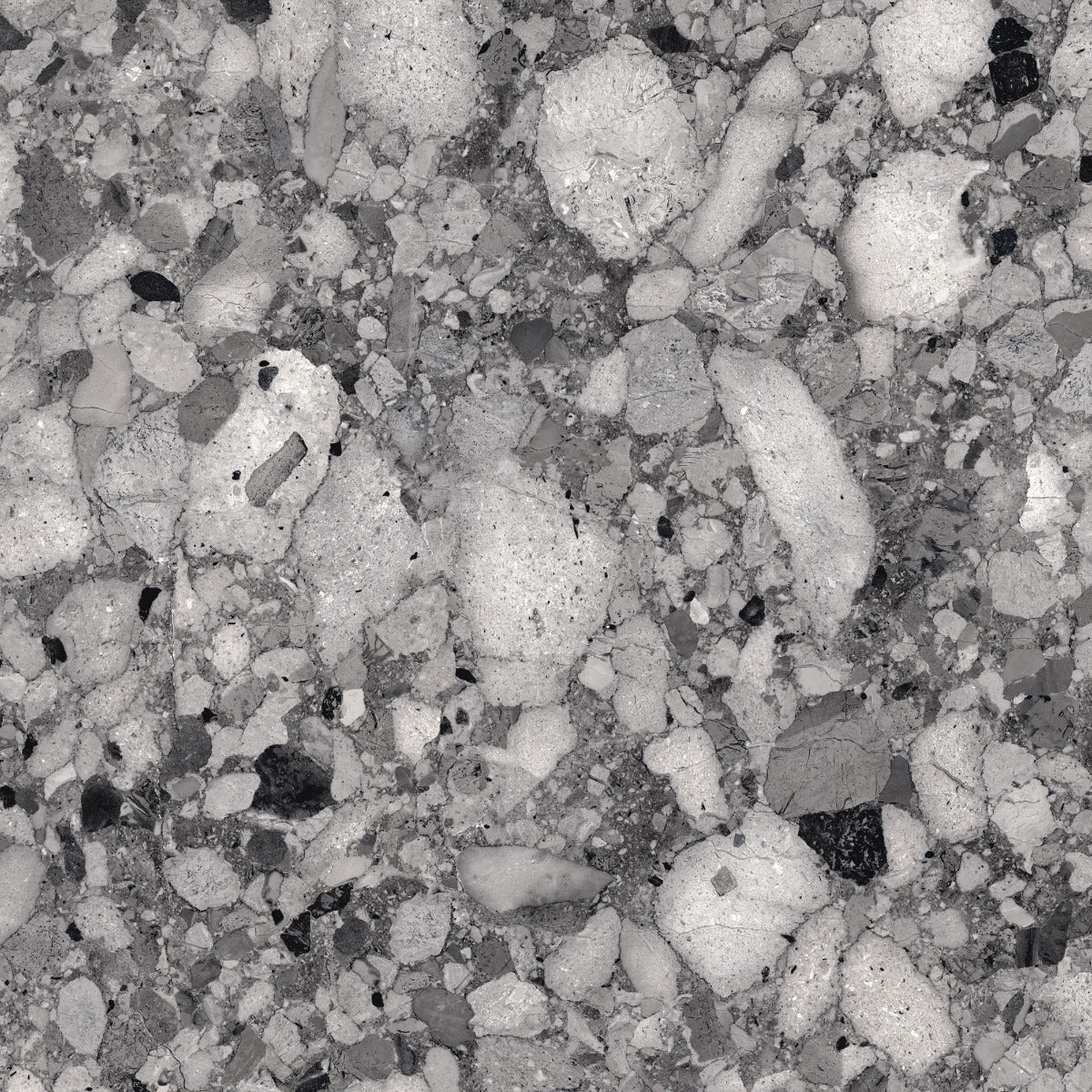 Venistone Dark Glossy 89 x 89cm tile, grey, at Irwin Tiles