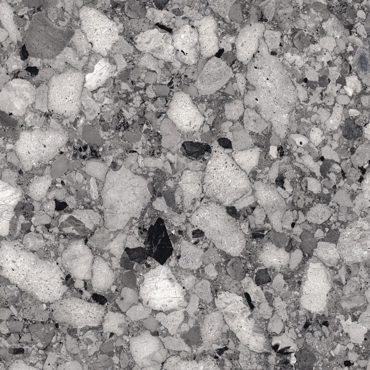Venistone Dark Glossy 89 x 89cm, porcelain tile sold by the box at Irwin Tiles