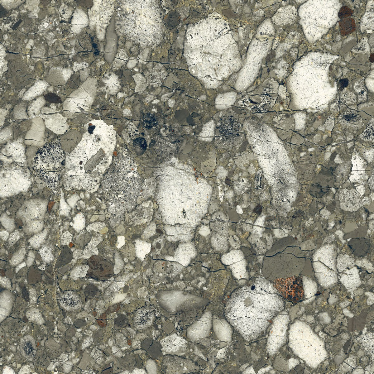 Venistone Emerald Glossy 89 x 89cm, terrazzo tile at Irwin Tiles