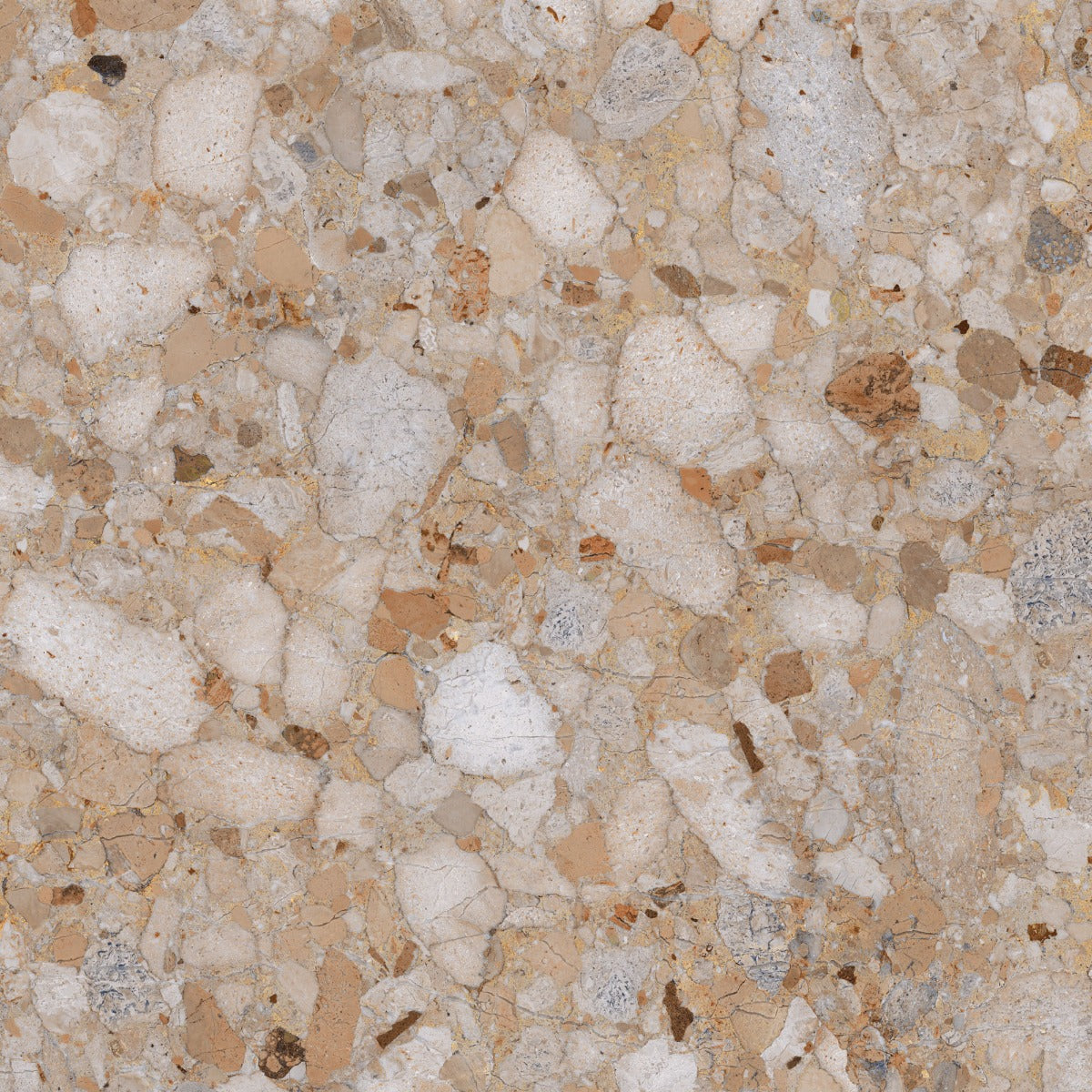 Venistone Gold Glossy 89 x 89cm, tile at Irwin Tiles