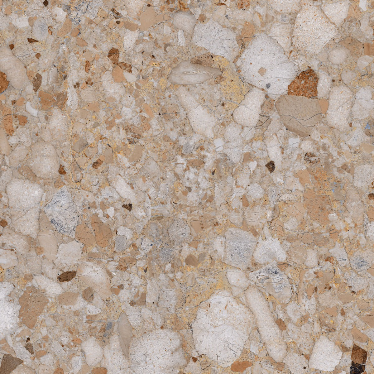 Venistone Gold Glossy 89 x 89cm, porcelain tile at Irwin Tiles