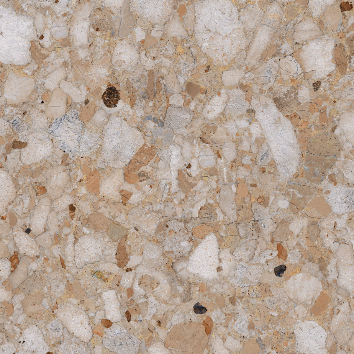 Venistone Gold Glossy 89 x 89cm tile, at Irwin Tiles